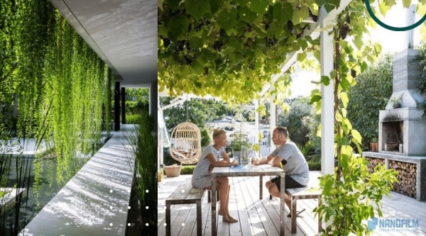 Trồng nhiều cây xanh xung quanh ngôi nhà cũng là giải pháp giúp nhà hướng tây chống nóng rất tốt.