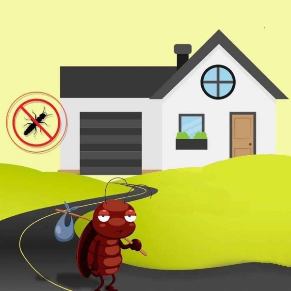 Gạch không nung đuổi côn trùng, ngăn ngừa nấm mốc