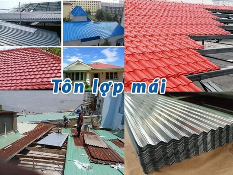lam-sao-de-chon-mua-ton-lop-mai-chuan-xac-nhat